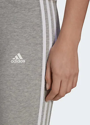 adidas Performance Leggings - Grattan | Shop Now