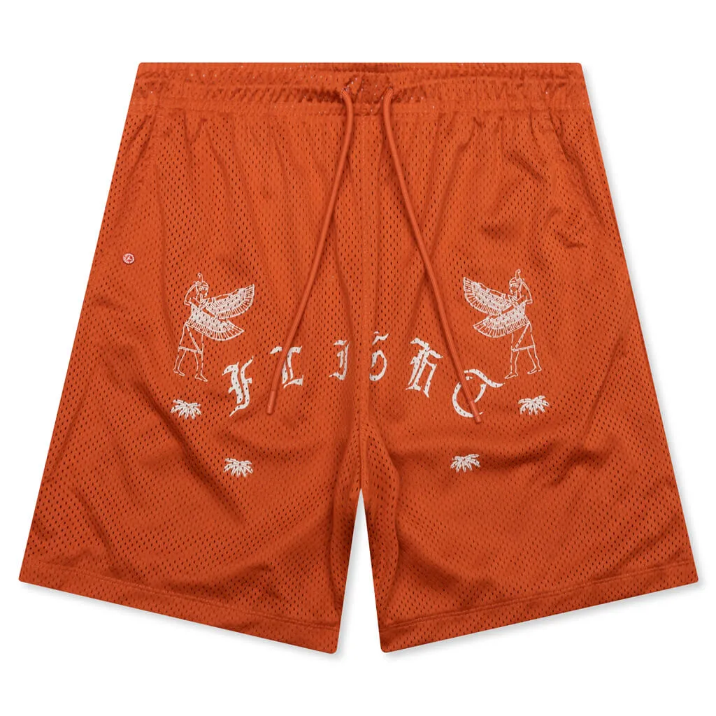 Jordan Flight Artist Series Mesh Shorts - Light Sienna/Phantom