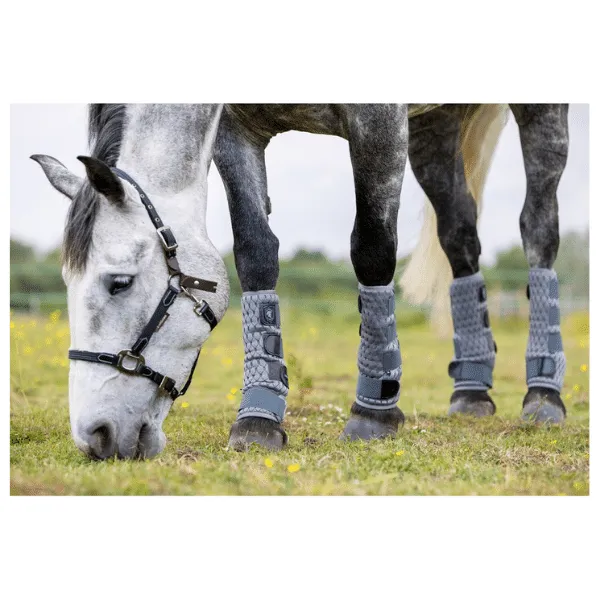 LeMieux Gladiator Mesh Fly Boots | Ingatestone Saddlery - Shop Now