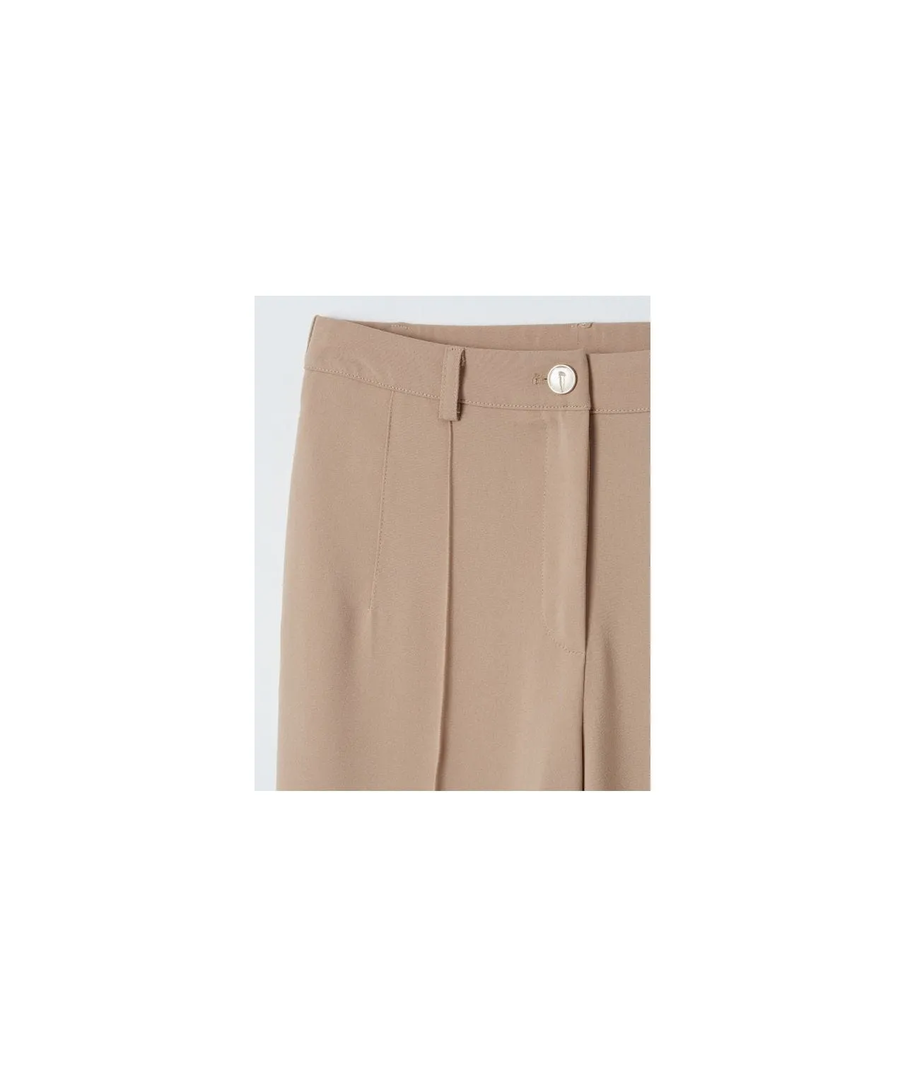 Front Pleat Wide-leg Trousers